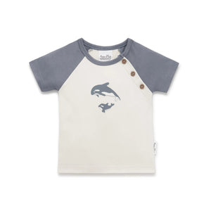 Orca Print Raglan Tee - Natural-Aster & Oak-00-Little Soldiers